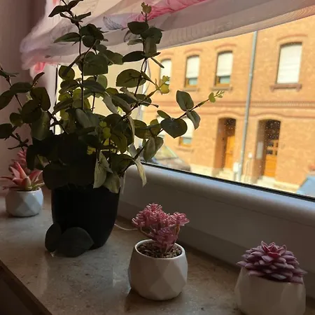 Erholung Im Herzen Von Apartment *